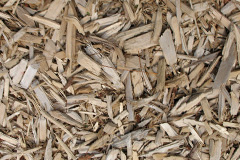 biomass boilers Llwyncelyn