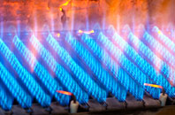 Llwyncelyn gas fired boilers